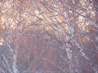 Kalender 15 - best of 2014. %!s(<nil>)