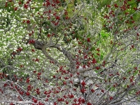 Kalender 15 - best of 2014. %!s(<nil>)