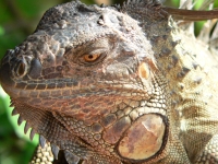 Kalender 15 - best of 2014. %!s(<nil>)