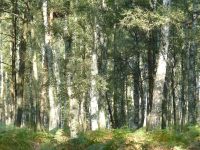 Kalender 15 - best of 2014. %!s(<nil>)