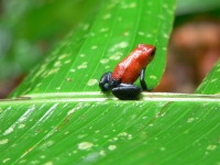 Kalender 15 - best of 2014. %!s(<nil>)