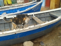 Kalender 15 - best of 2014. %!s(<nil>)