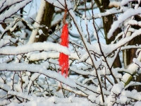 Kalender 15 - best of 2014. %!s(<nil>)