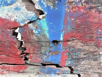 Kalender 17 - best of 2016. %!s(<nil>)