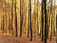 Kalender 17 - best of 2016. %!s(<nil>)