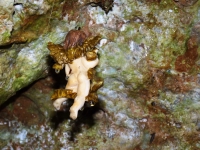 Kalender 17 - best of 2016. %!s(<nil>)