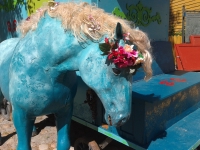 Kalender 17 - best of 2016. %!s(<nil>)