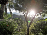 Kalender 17 - best of 2016. %!s(<nil>)