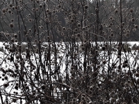 Kalender 18 - best of 2017. %!s(<nil>)