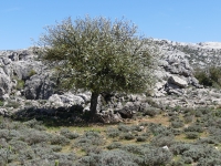 Kalender 18 - best of 2017. %!s(<nil>)