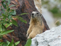 Kalender 19 - best of 2018. %!s(<nil>)