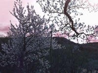 Kalender 19 - best of 2018. %!s(<nil>)