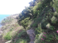 Kalender 19 - best of 2018. %!s(<nil>)