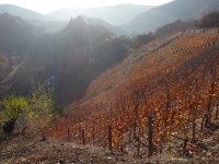 Kalender 19 - best of 2018. %!s(<nil>)