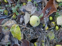 Kalender 19 - best of 2018. %!s(<nil>)