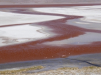 Kalender 21 - best of 2019 + 2020. %!s(<nil>)