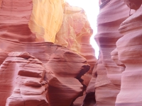 Kalender 21 - best of 2019 + 2020. %!s(<nil>)