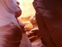 Kalender 21 - best of 2019 + 2020. %!s(<nil>)