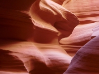 Kalender 21 - best of 2019 + 2020. %!s(<nil>)