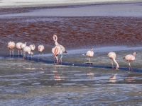 Kalender 23 - best of 2022. %!s(<nil>)