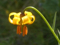 Kalender 23 - best of 2022. %!s(<nil>)