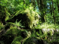 Kalender 23 - best of 2022. %!s(<nil>)