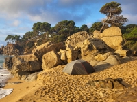 Kalender 23 - best of 2022. %!s(<nil>)