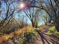 Kalender 23 - best of 2022. %!s(<nil>)