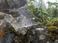 Kalender 23 - best of 2022. %!s(<nil>)