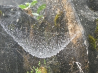 Kalender 23 - best of 2022. %!s(<nil>)