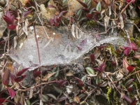 Kalender 23 - best of 2022. %!s(<nil>)