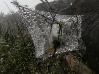 Kalender 23 - best of 2022. %!s(<nil>)