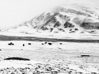 Kalender 25 - best of 2023 + 2024. %!s(<nil>)