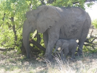 Kalender 25 - best of 2023 + 2024. %!s(<nil>)