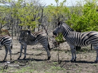 Kalender 25 - best of 2023 + 2024. %!s(<nil>)