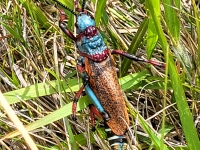 Kalender 25 - best of 2023 + 2024. %!s(<nil>)