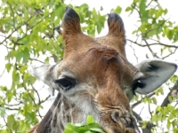 Kalender 25 - best of 2023 + 2024. %!s(<nil>)