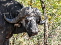 Kalender 25 - best of 2023 + 2024. %!s(<nil>)