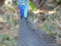 Kalender 25 - best of 2023 + 2024. %!s(<nil>)