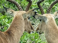 Kalender 25 - best of 2023 + 2024. %!s(<nil>)