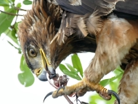 Kalender 25 - best of 2023 + 2024. %!s(<nil>)