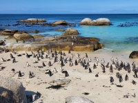 Kalender 25 - best of 2023 + 2024. %!s(<nil>)