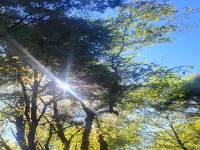 Kalender 25 - best of 2023 + 2024. %!s(<nil>)