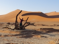 Kalender 25 - best of 2023 + 2024. %!s(<nil>)