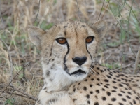 Kalender 25 - best of 2023 + 2024. %!s(<nil>)