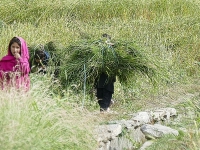 Kalender 25 - best of 2023 + 2024. %!s(<nil>)