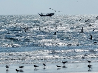 Kalender 25 - best of 2023 + 2024. %!s(<nil>)