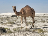 Kalender 25 - best of 2023 + 2024. %!s(<nil>)