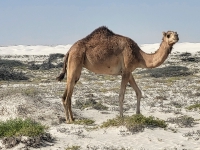 Kalender 25 - best of 2023 + 2024. %!s(<nil>)