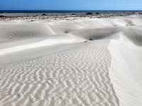 Kalender 25 - best of 2023 + 2024. %!s(<nil>)